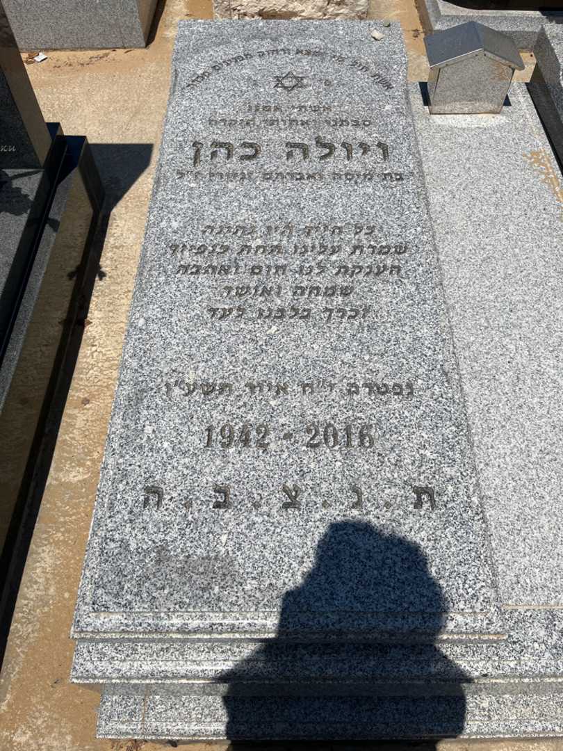 קברו של ויולה כהן. תמונה 1