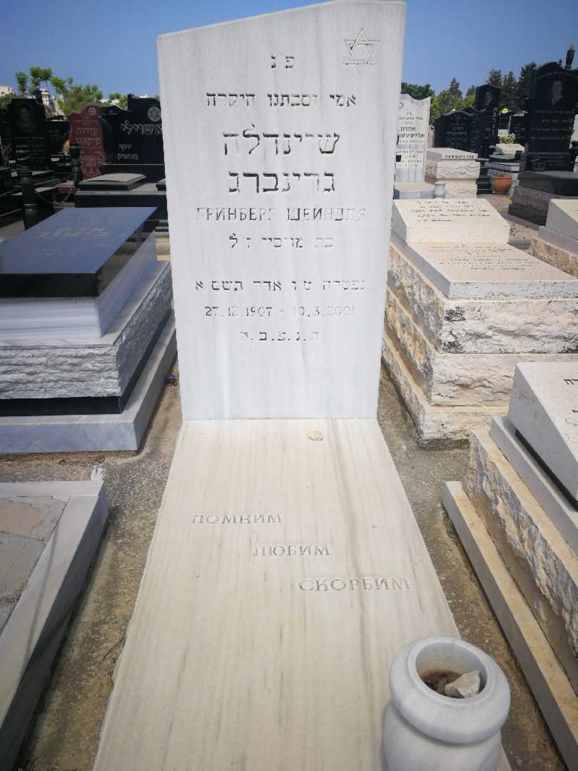 קברו של שיינדלה גרינברג. תמונה 1