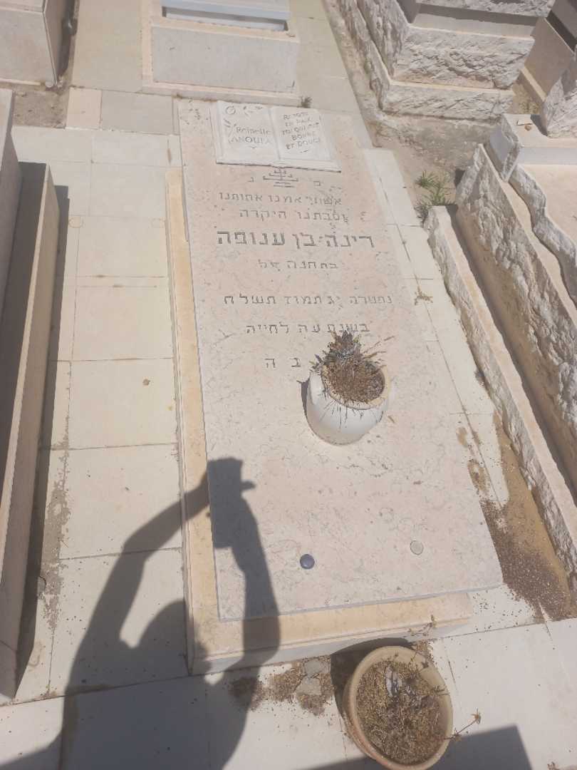קברו של רינה בן ענופה. תמונה 1