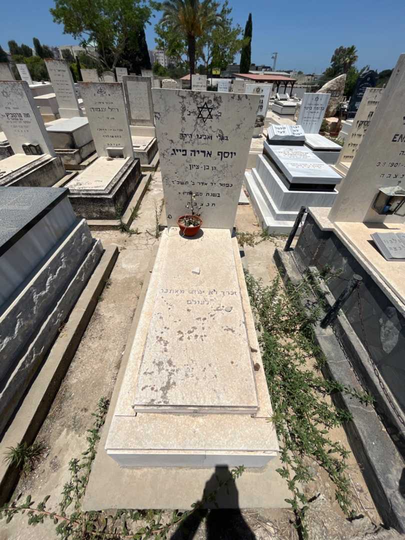 קברו של יוסף פייג. תמונה 1