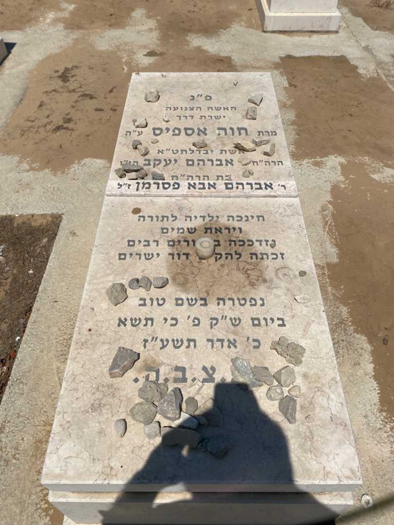 קברו של אברהם אבא פסרמן. תמונה 1