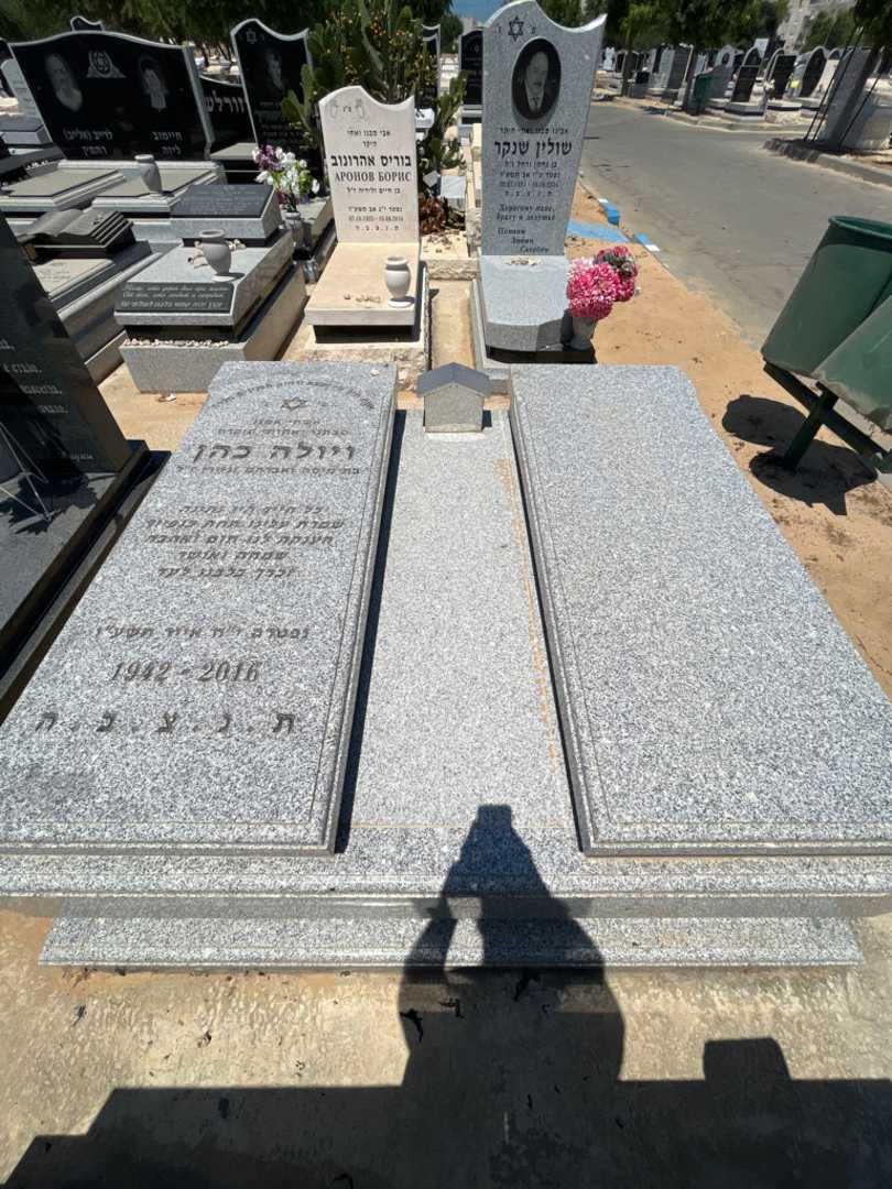 קברו של ויולה כהן. תמונה 2