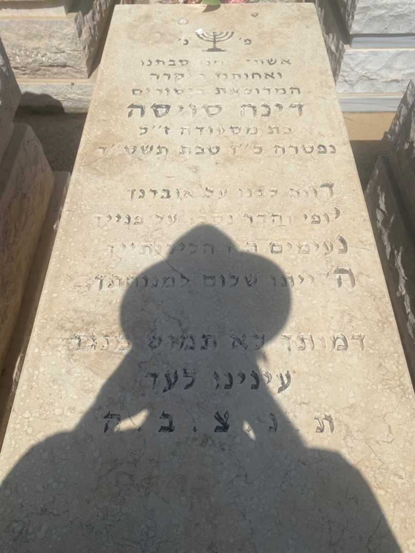 קברו של דניז סויסה. תמונה 1