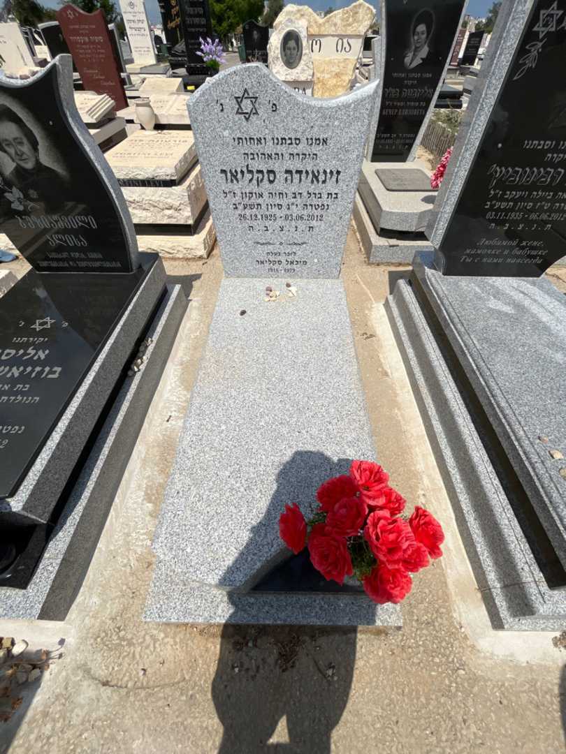 קברו של זינאידה סקליאר. תמונה 1
