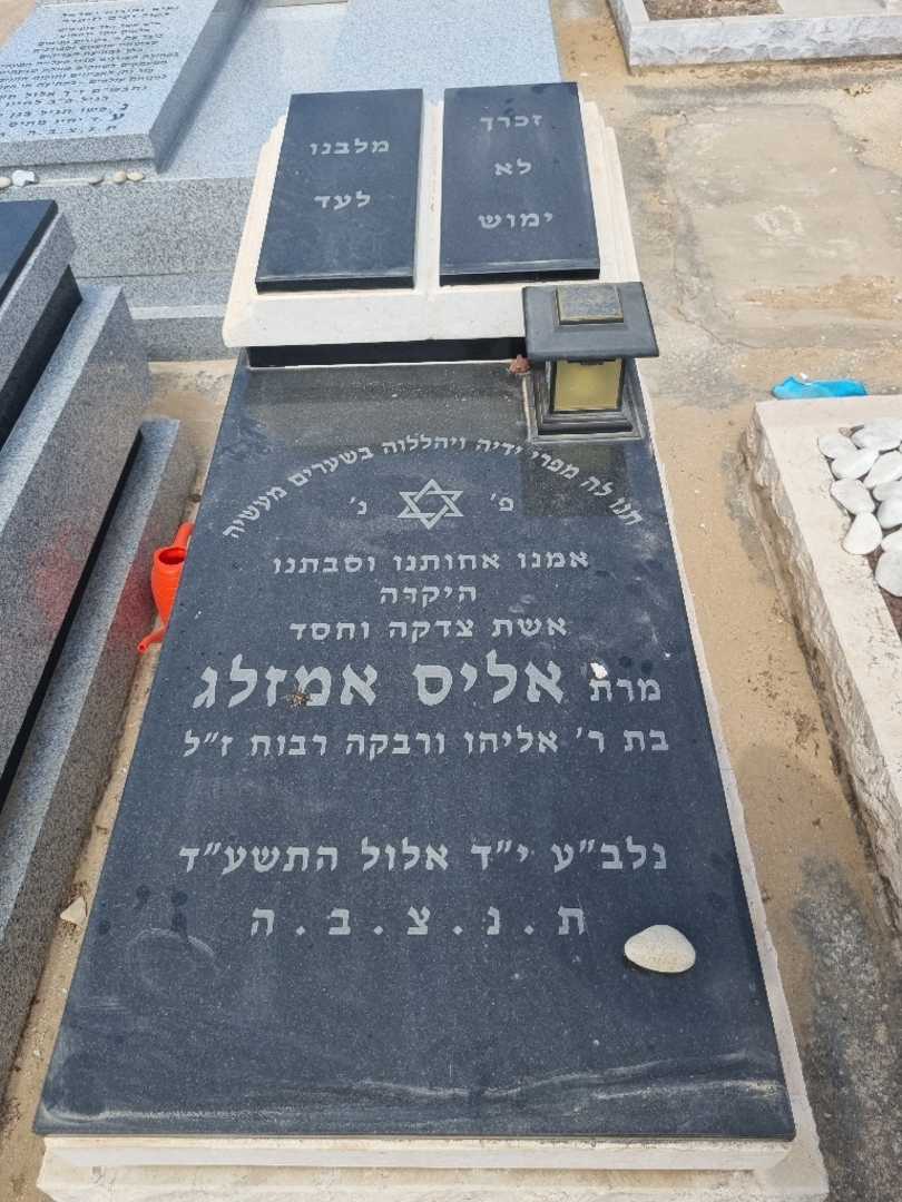 קברו של אליס אמזלג. תמונה 1