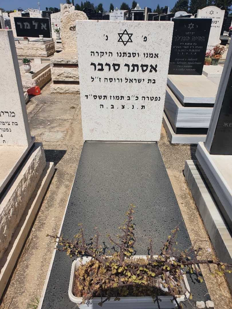 קברו של אסתר סרבר גופמן. תמונה 1