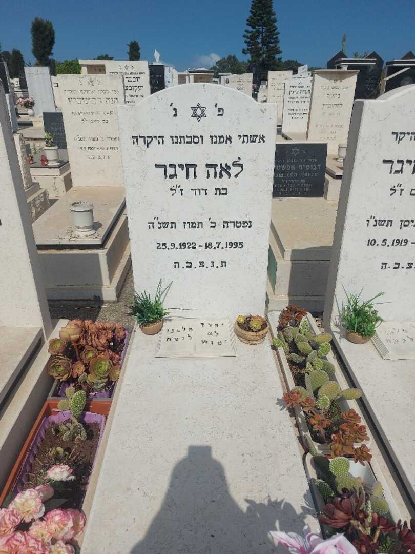 קברו של לאה חיגר. תמונה 1