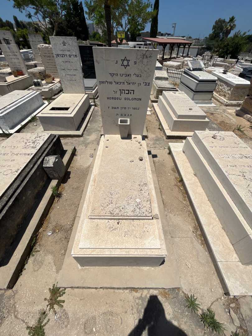 קברו של צבי חכחן סולומון. תמונה 1