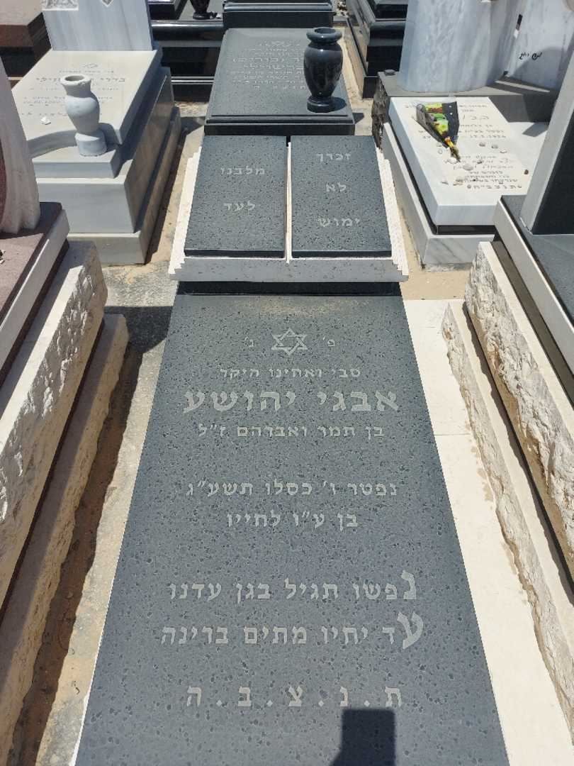 קברו של יהושע אבגי. תמונה 1