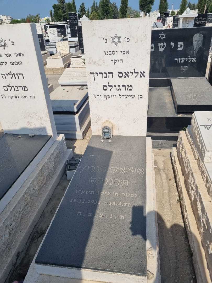 קברו של אליאס הנריך מרגולס. תמונה 1