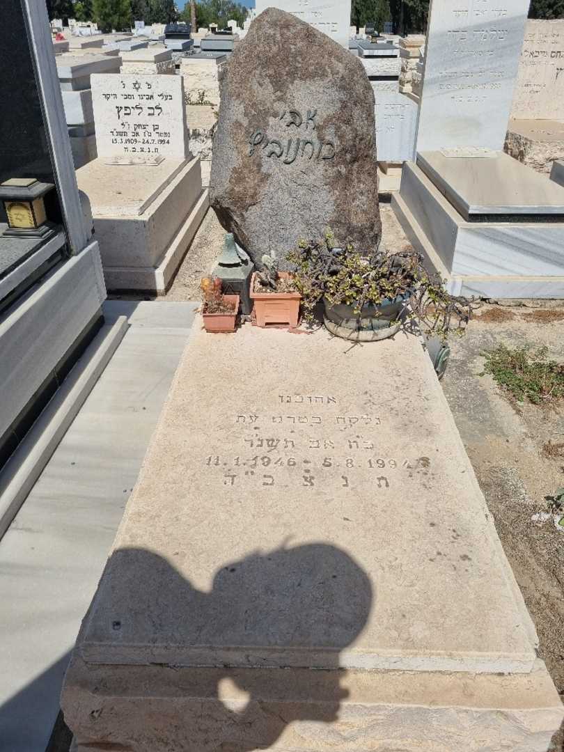 קברו של אברהם כוחנוביץ. תמונה 1