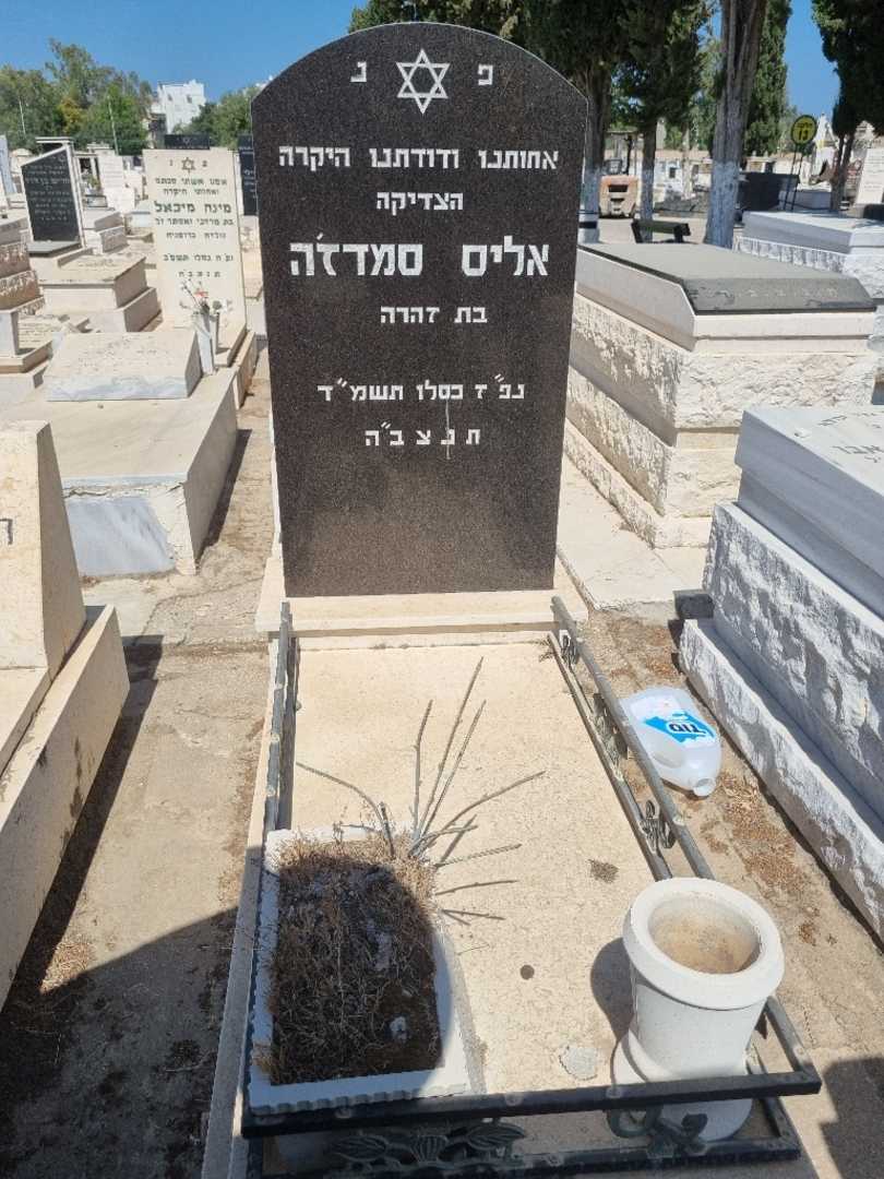 קברו של אליס סמדגה. תמונה 1