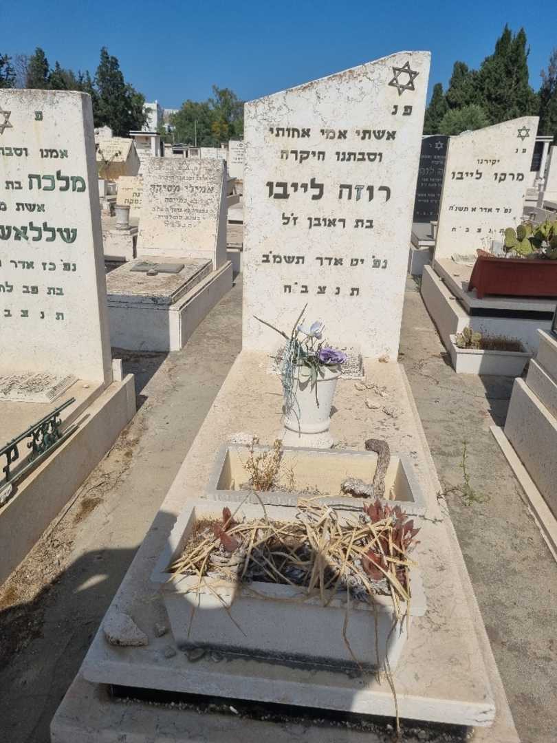 קברו של רוזה לייבו. תמונה 1