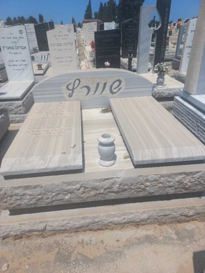 קברו של אהרון שוורץ. תמונה 1
