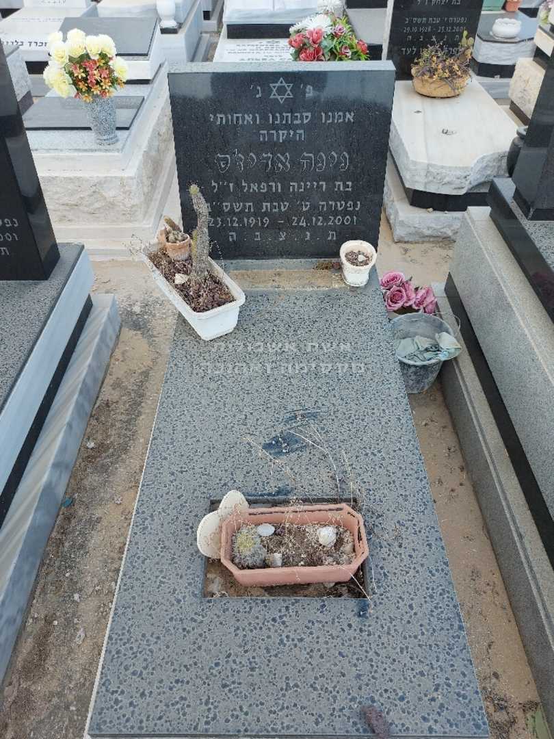 קברו של נינה אדיז'ס. תמונה 1