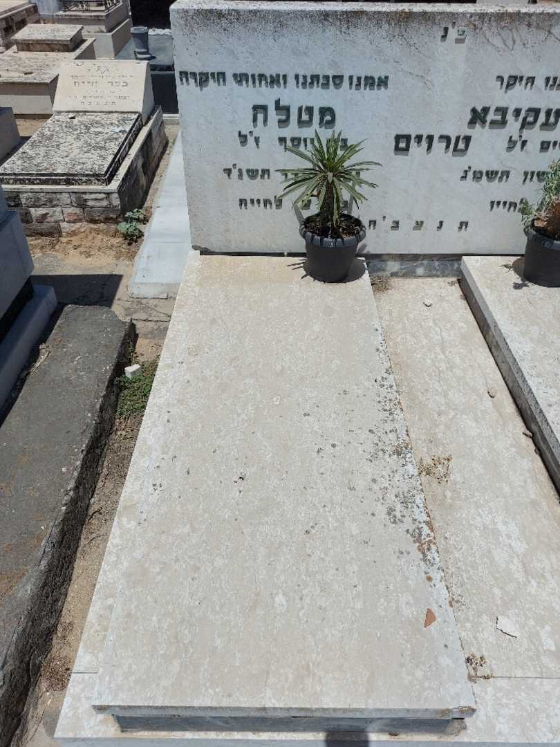 קברו של מטלה טרוים. תמונה 2