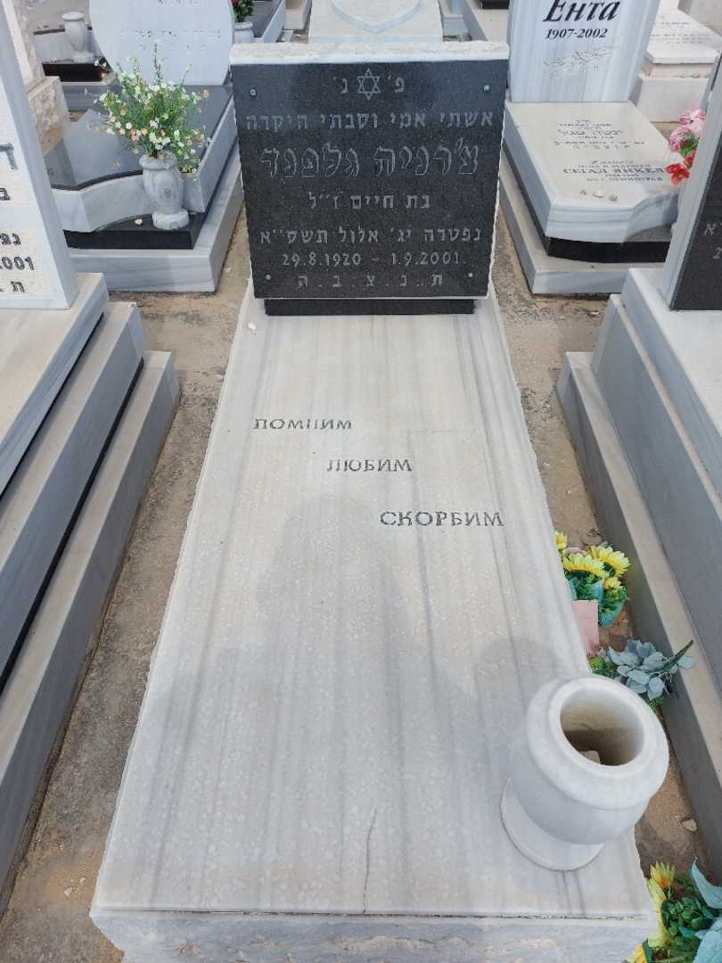 קברו של צ'רניה גלפנד. תמונה 1