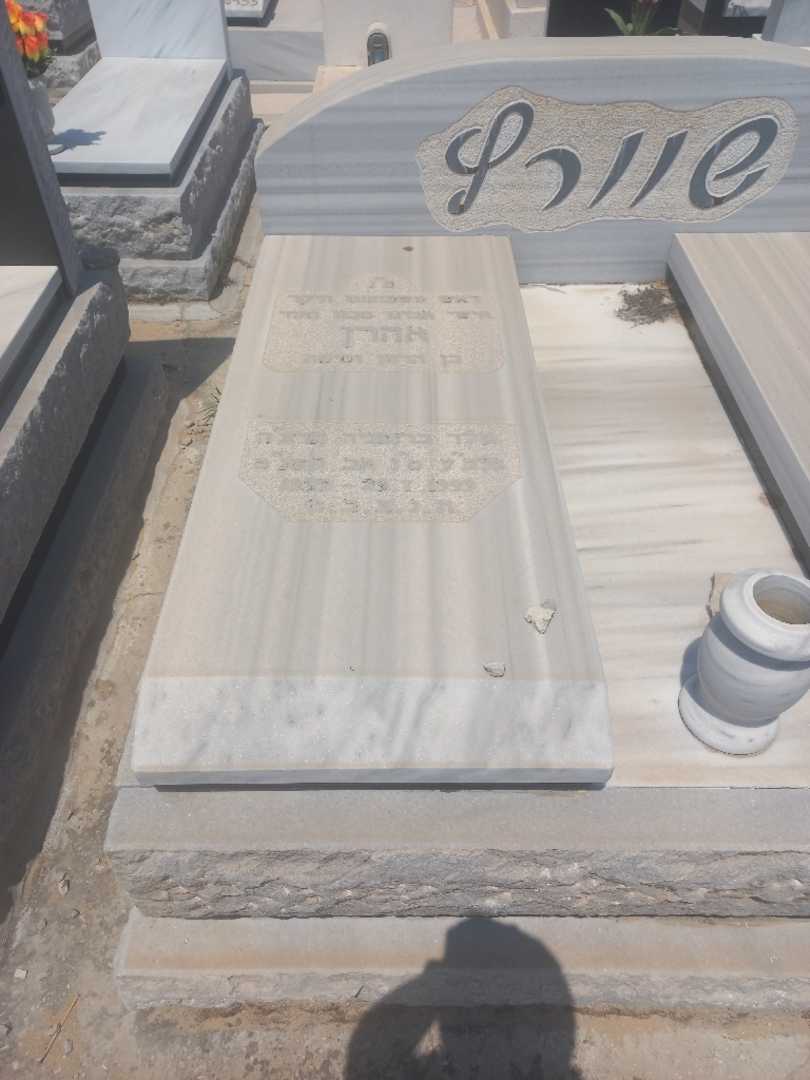 קברו של אהרון שוורץ. תמונה 2