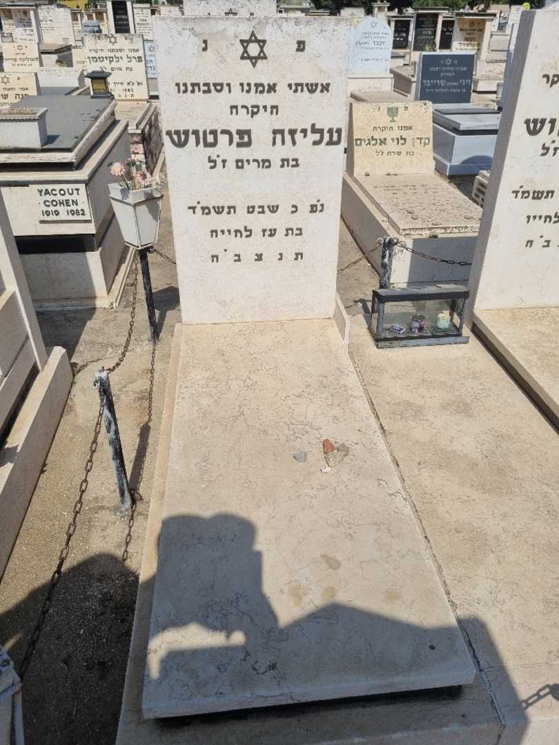 קברו של עליזה פרטוש. תמונה 1