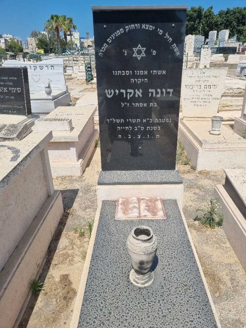 קברו של דינא אקריש. תמונה 1