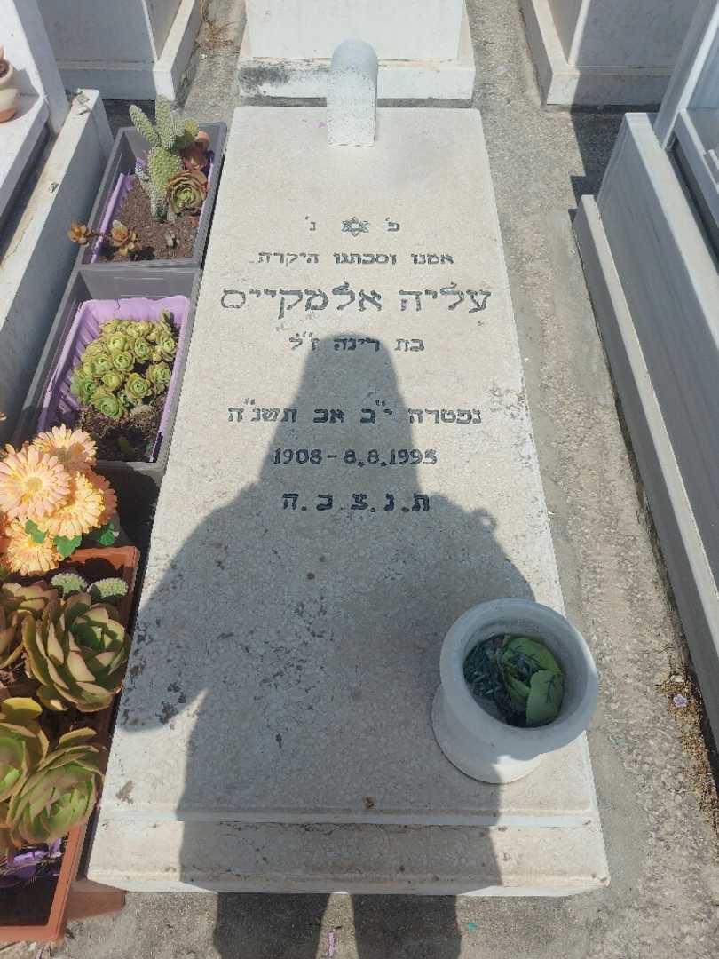 קברו של עליז אלמקיים. תמונה 1