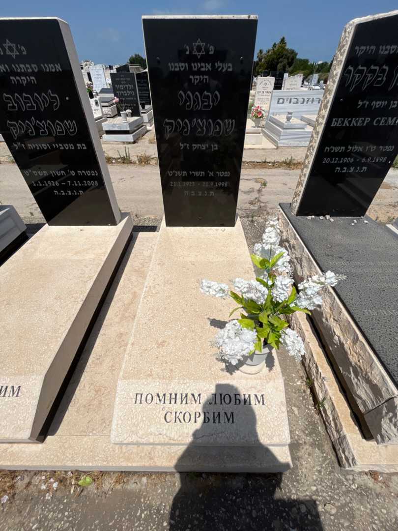 קברו של יבגני שפוצניק. תמונה 1