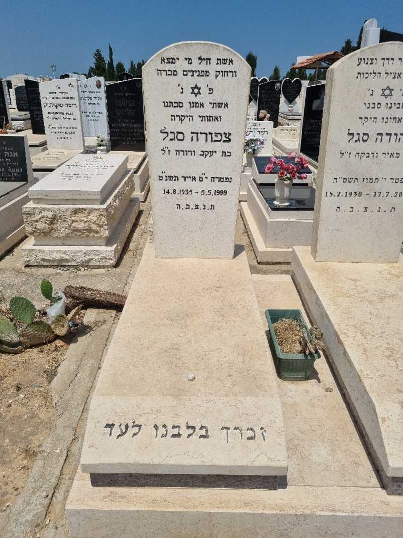 קברו של צפורה סגל. תמונה 2