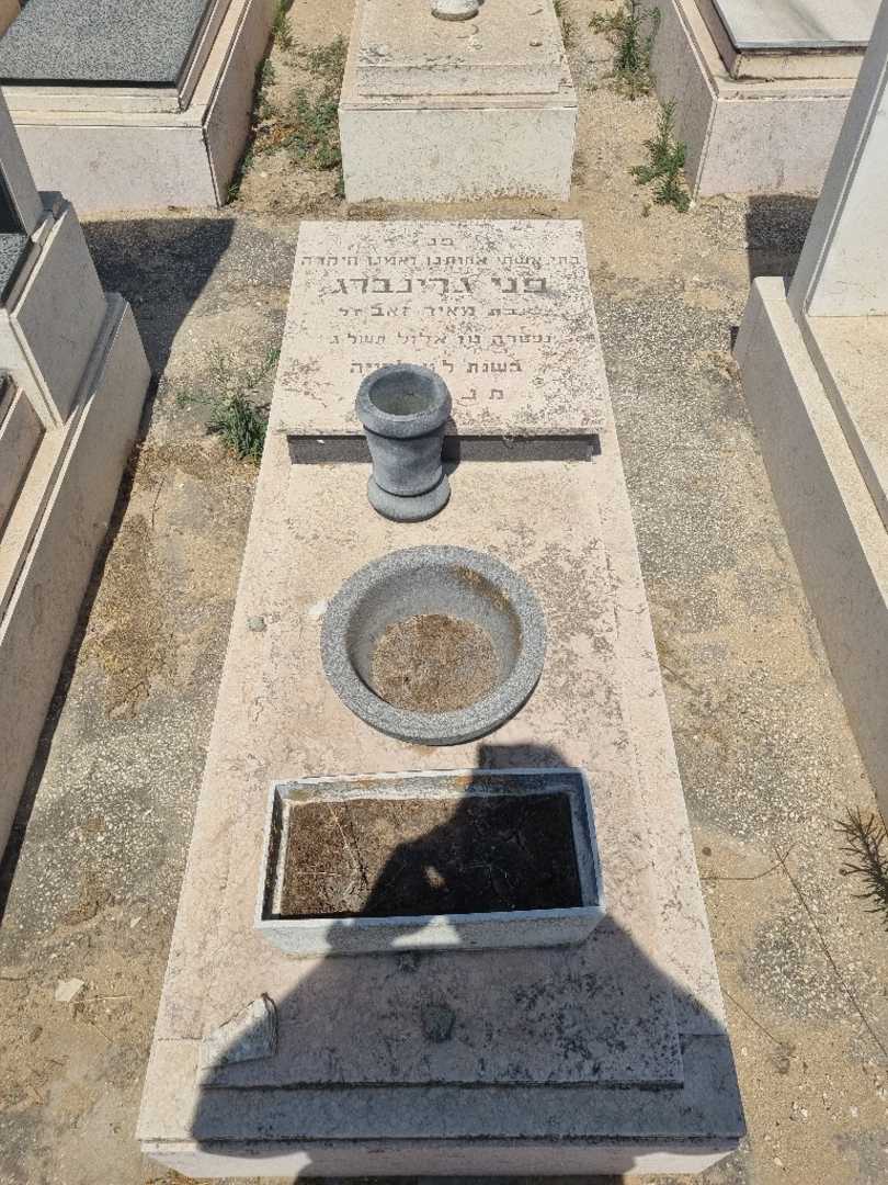 קברו של פני גרינברג. תמונה 1