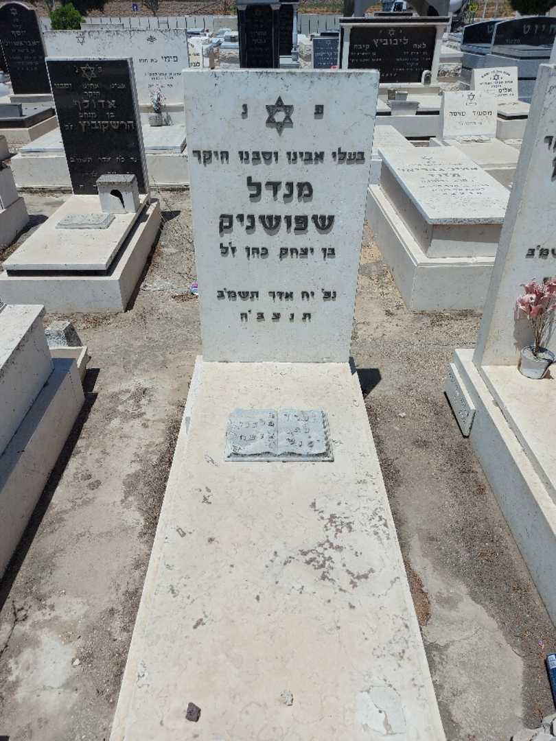 קברו של מנדל שפושניק. תמונה 1