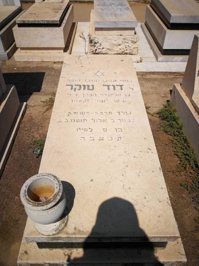 קברו של דוד טוקר. תמונה 1