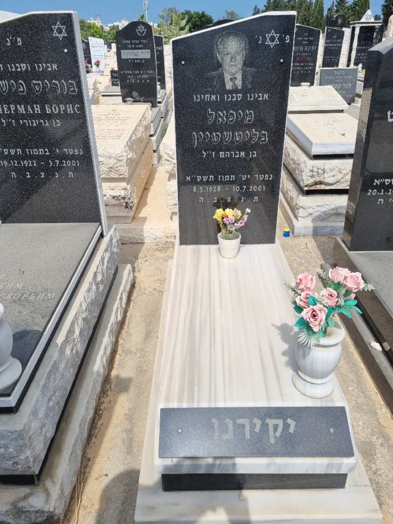 קברו של מיכאל בליטשטיין. תמונה 1