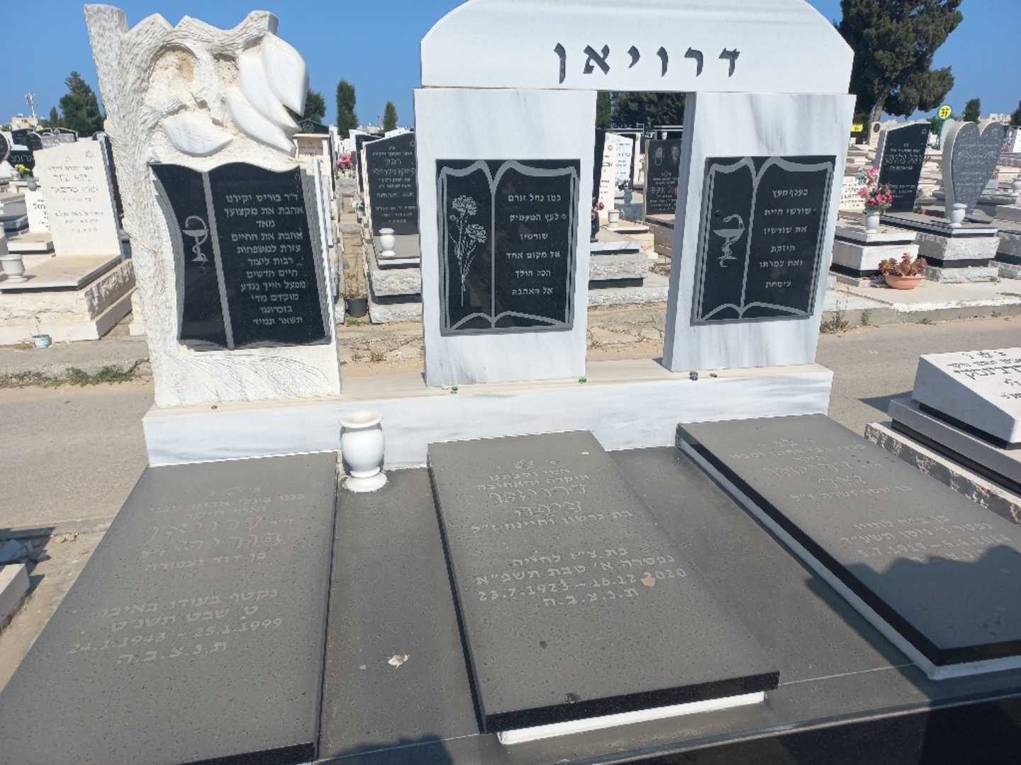 קברו של דוד דרויאן. תמונה 1