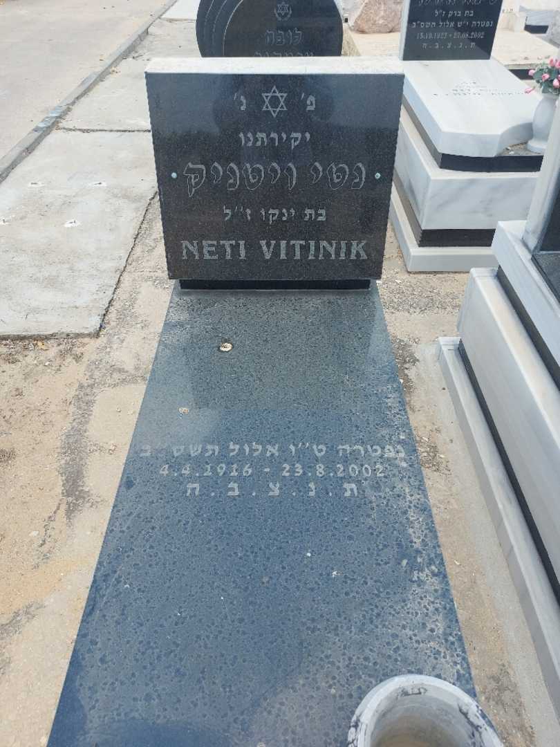 קברו של נטי ויטניק. תמונה 1