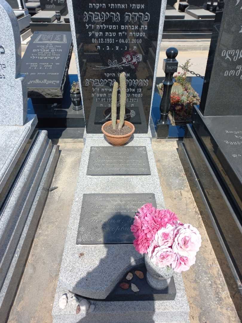 קברו של אנטולי גרינברג. תמונה 1