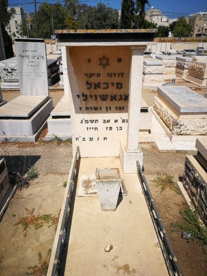 קברו של מיכאל אגאשוילי. תמונה 1