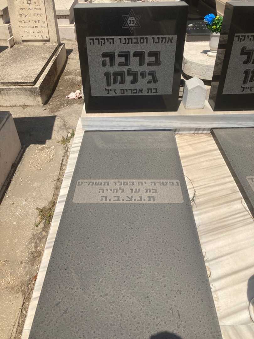 קברו של שמואל גילמן. תמונה 2