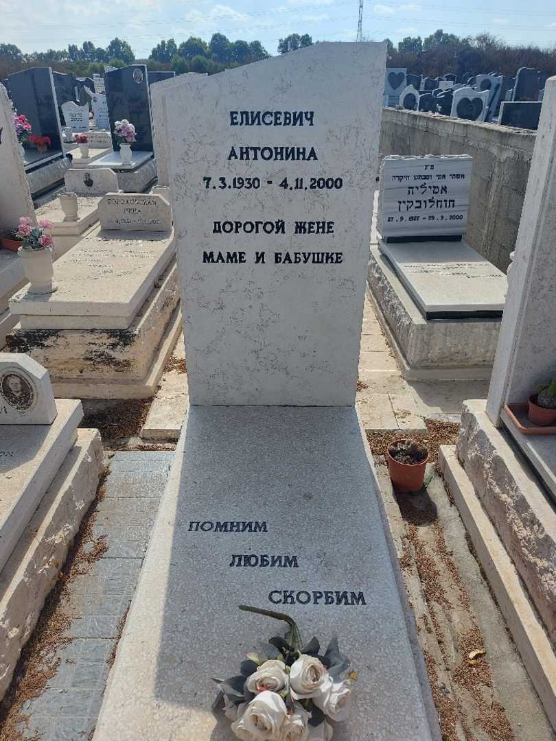 קברו של אנטונינה יליסביץ'. תמונה 1