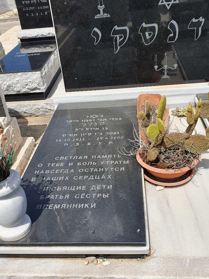 קברו של סנדר נפדנסקי. תמונה 2