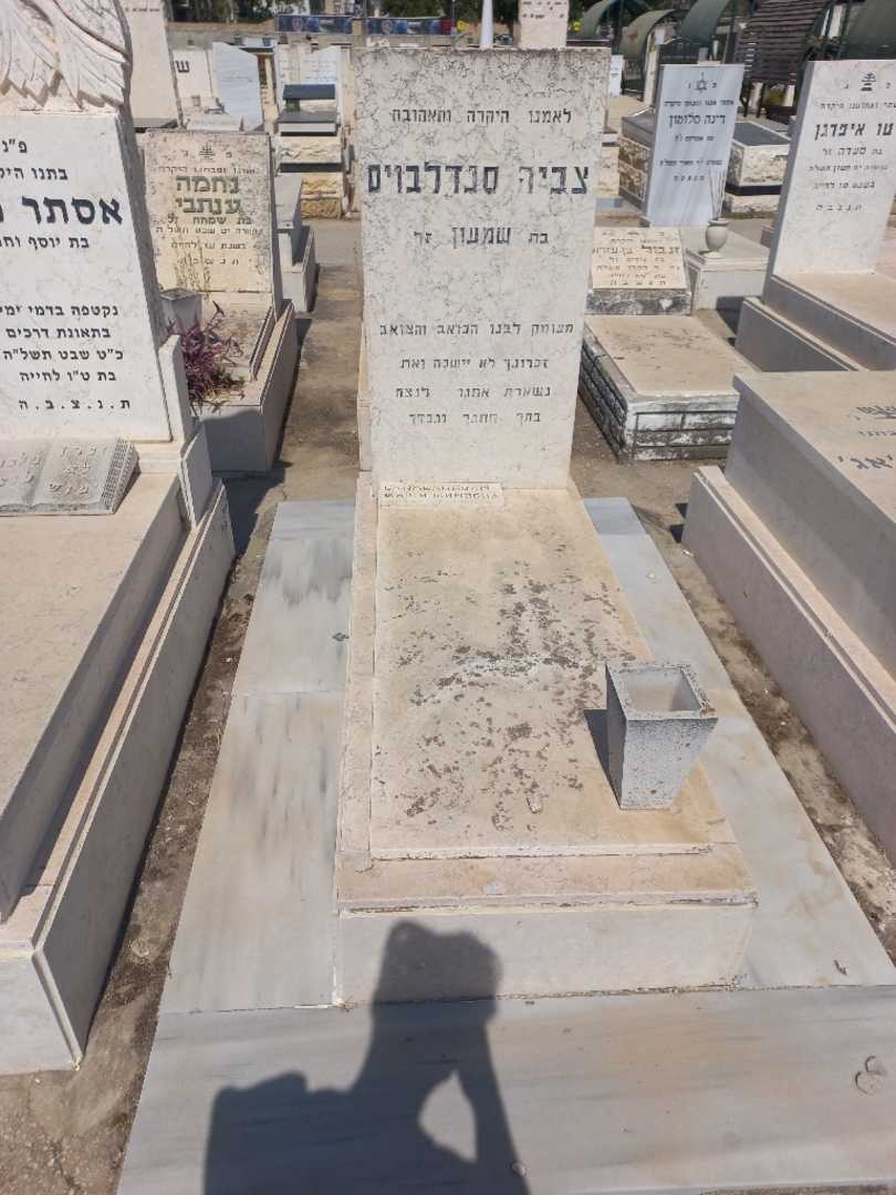קברו של צביה סנדלבוים. תמונה 1