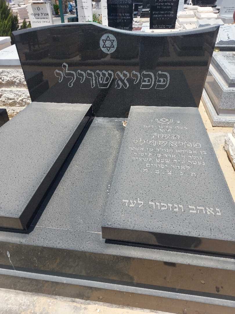 קברו של משה פפיאשוילי. תמונה 1