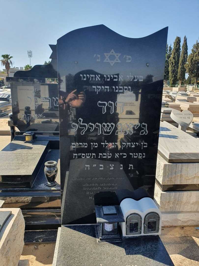 קברו של דוד ג׳נשוילי. תמונה 2