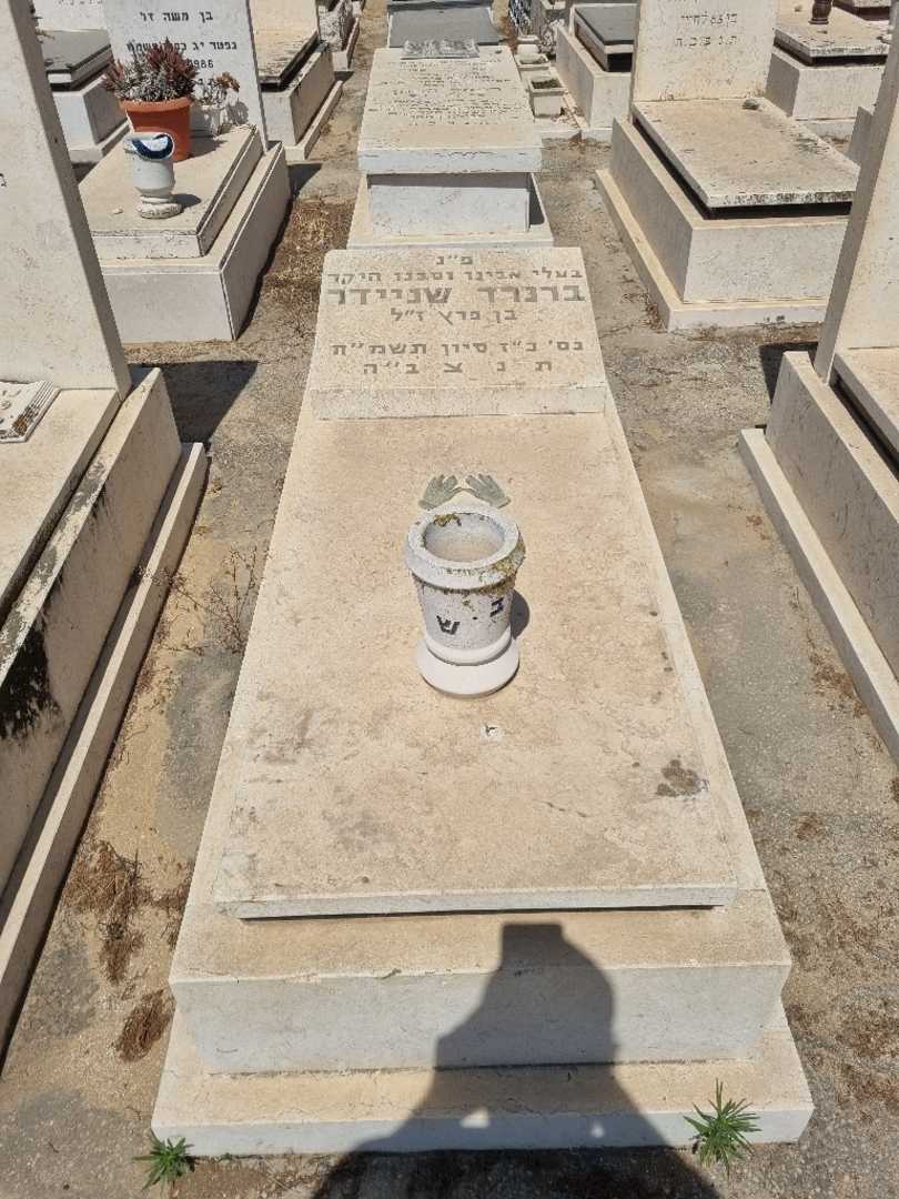 קברו של ברנרד שניידר. תמונה 1