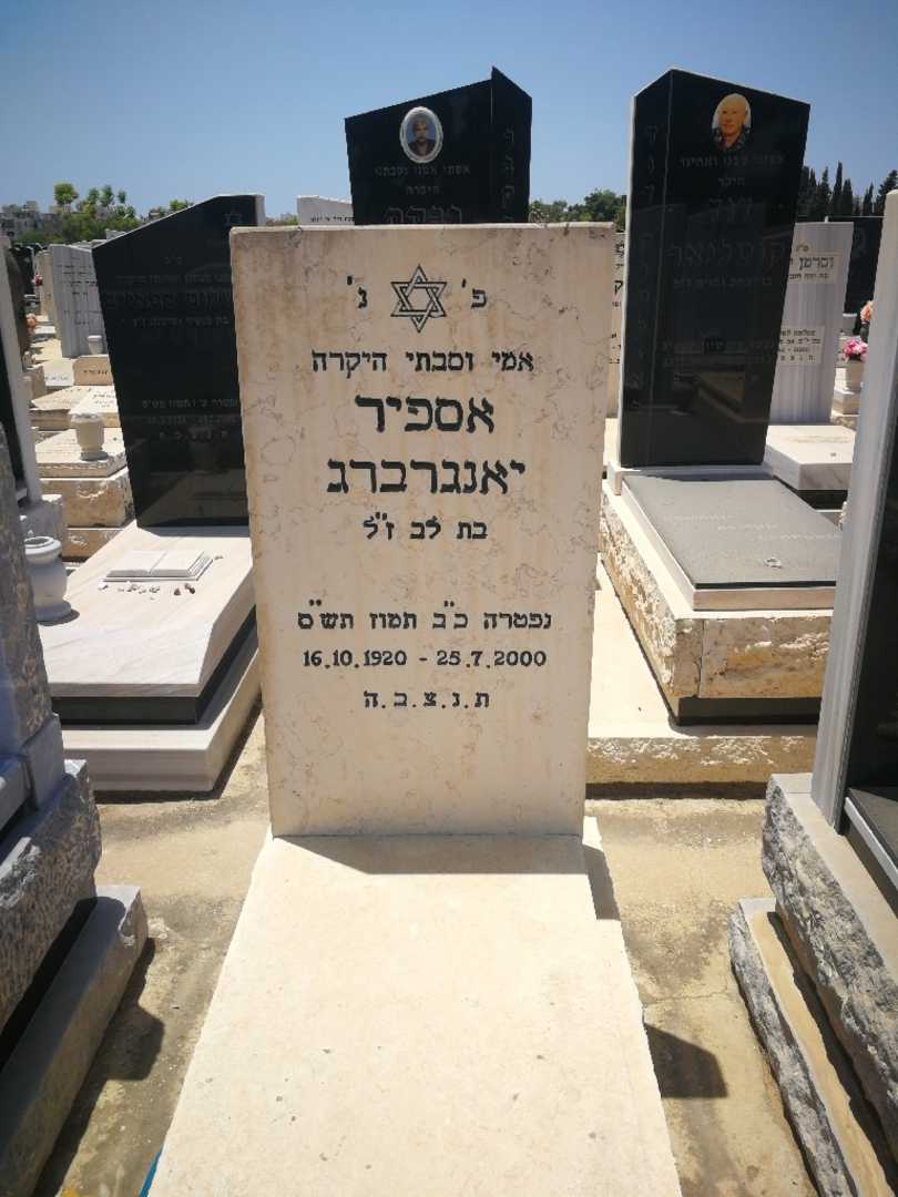 קברו של אספיר יאנגרברג. תמונה 1