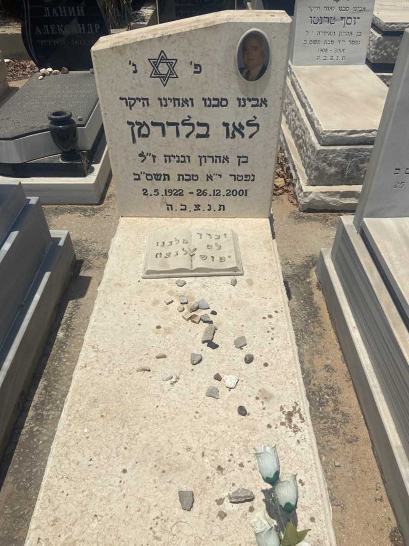 קברו של לאו בלדרמן. תמונה 1