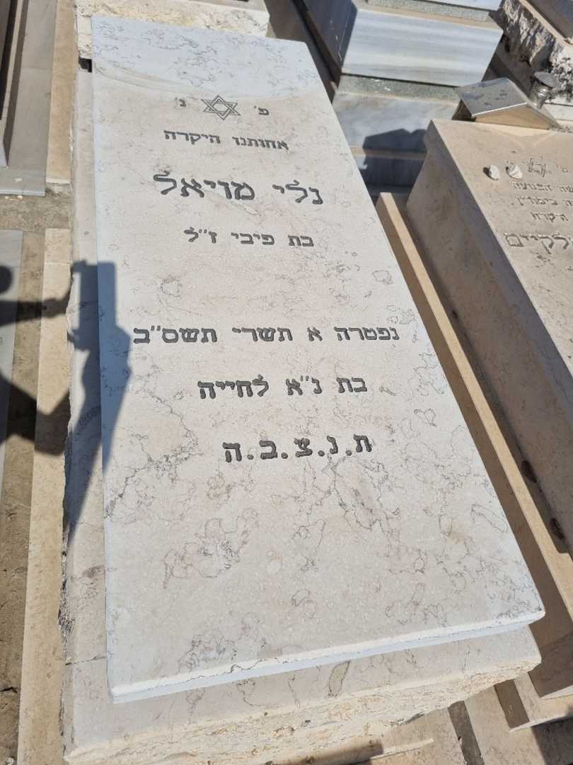 קברו של נלי מויאל. תמונה 1