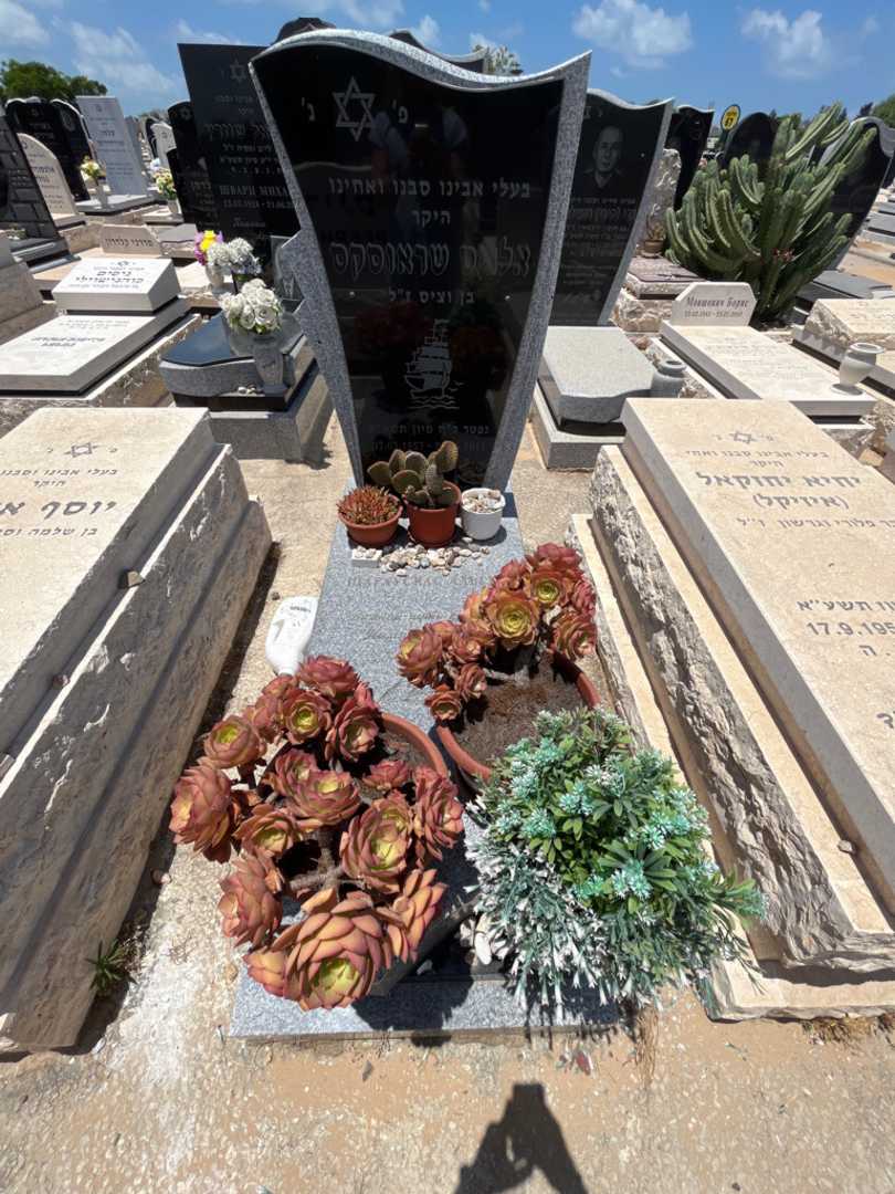 קברו של אלגיס שראוסקס. תמונה 2