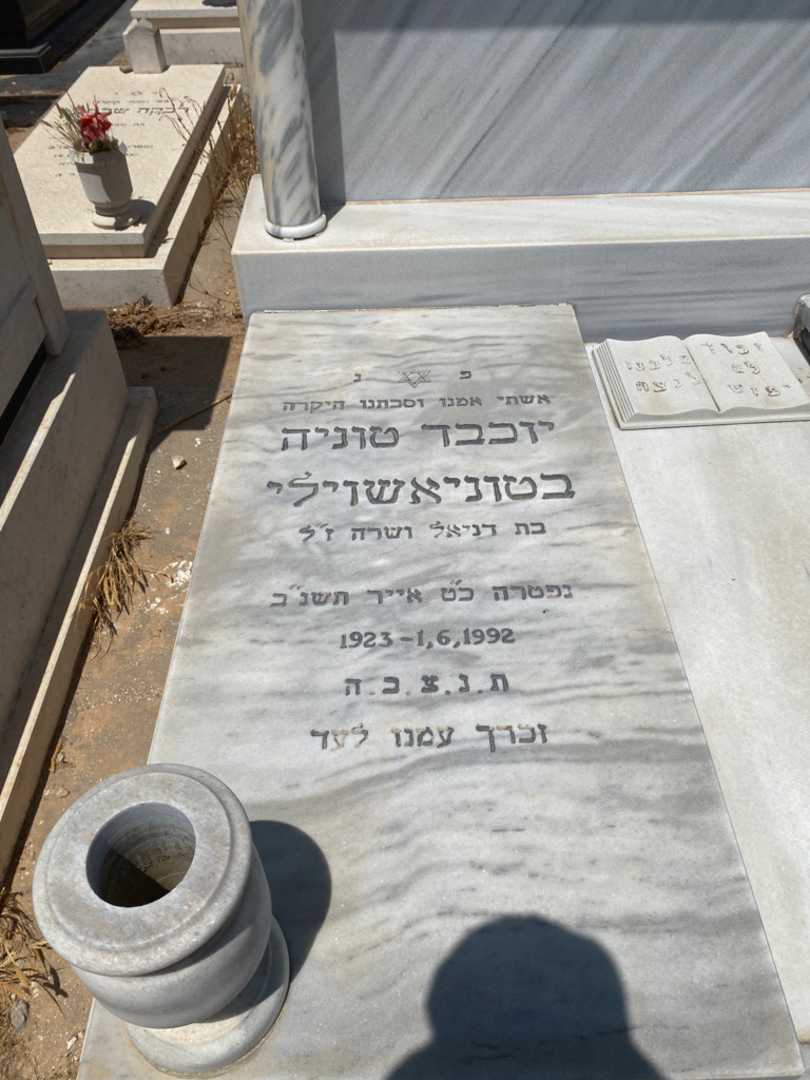 קברו של יוכד פטוניאשוילי. תמונה 2