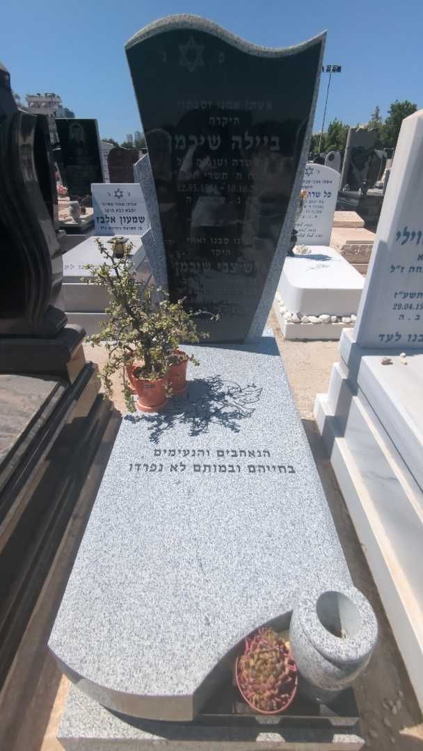 קברו של גרש צבי שיכמן. תמונה 1