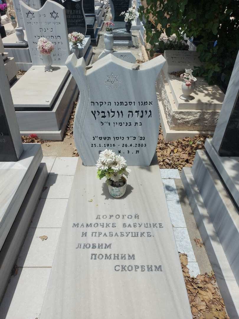 קברו של גינדה וולוביץ'. תמונה 1