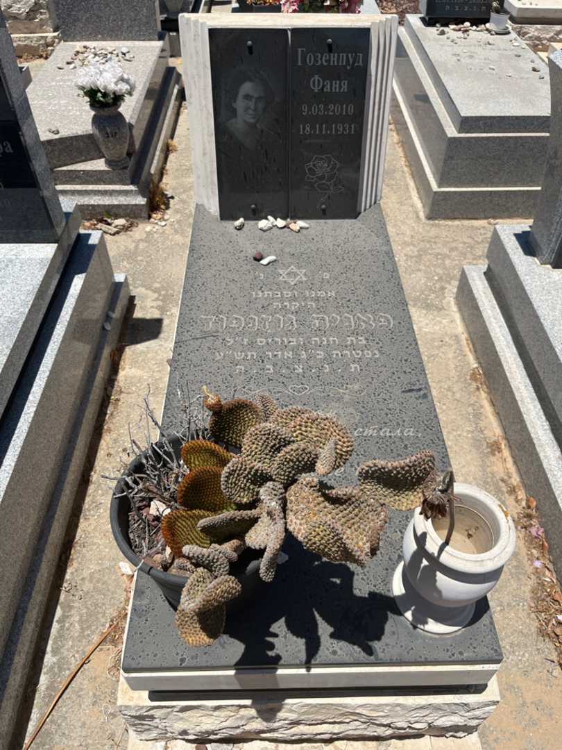 קברו של פאניה גוזנפוד. תמונה 1